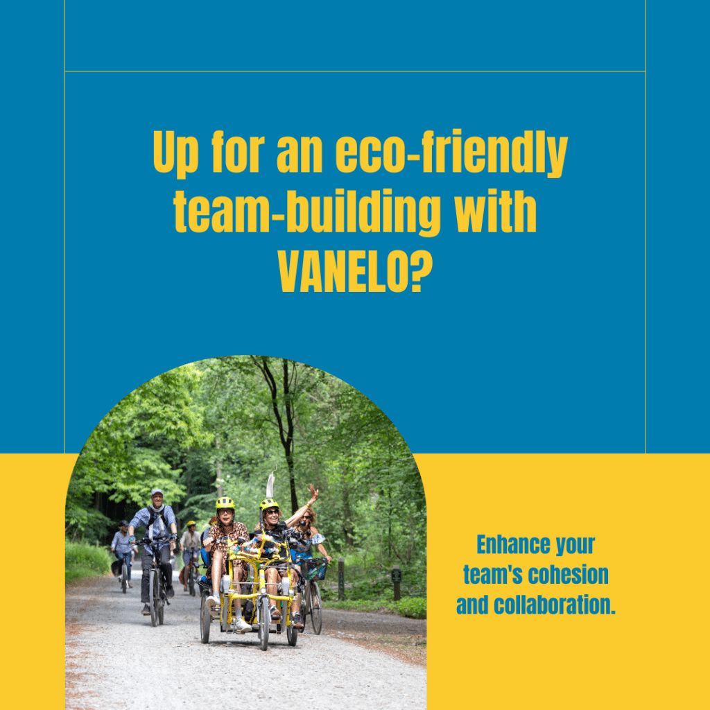 team-building-ecoresponsable-avec-VANELO