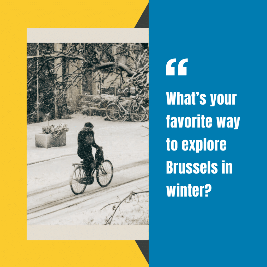 Vanelo bike winter